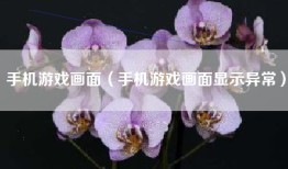 手机游戏画面（手机游戏画面显示异常）