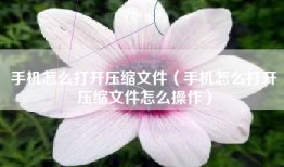 手机怎么打开压缩文件（手机怎么打开压缩文件怎么操作）