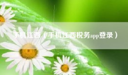 手机江西（手机江西税务app登录）