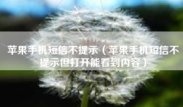 苹果手机短信不提示（苹果手机短信不提示但打开能看到内容）