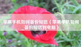 苹果手机如何备份短信（苹果手机如何备份短信到电脑）