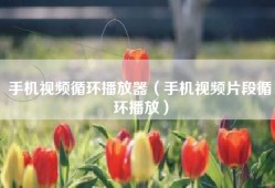 手机视频循环播放器（手机视频片段循环播放）