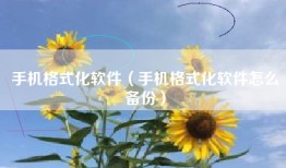 手机格式化软件（手机格式化软件怎么备份）