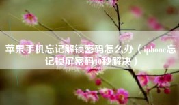 苹果手机忘记解锁密码怎么办（iphone忘记锁屏密码10秒解决）