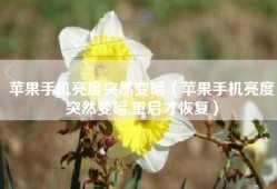 苹果手机亮度突然变暗（苹果手机亮度突然变暗,重启才恢复）