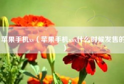 苹果手机xs（苹果手机xax什么时候发售的）