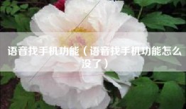 语音找手机功能（语音找手机功能怎么没了）