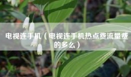 电视连手机（电视连手机热点费流量费的多么）