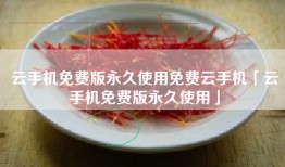 云手机免费版永久使用免费云手机「云手机免费版永久使用」