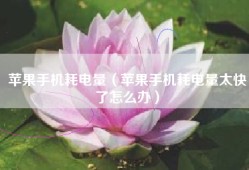 苹果手机耗电量（苹果手机耗电量太快了怎么办）