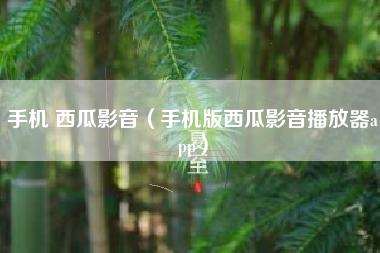 手机 西瓜影音（手机版西瓜影音播放器app）