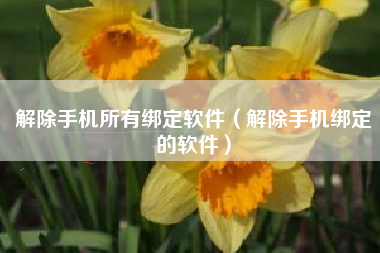 解除手机所有绑定软件（解除手机绑定的软件）