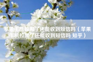 苹果手机拉黑了还能收到短信吗（苹果手机拉黑了还能收到短信吗 知乎）