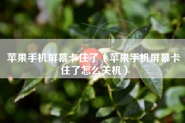 苹果手机屏幕卡住了（苹果手机屏幕卡住了怎么关机）