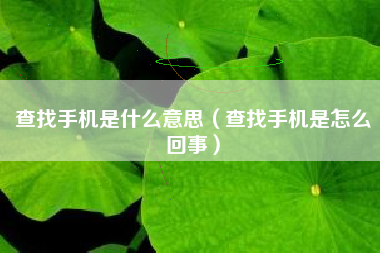 查找手机是什么意思（查找手机是怎么回事）