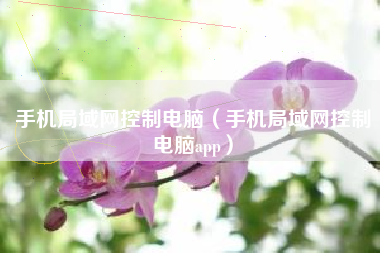 手机局域网控制电脑（手机局域网控制电脑app）