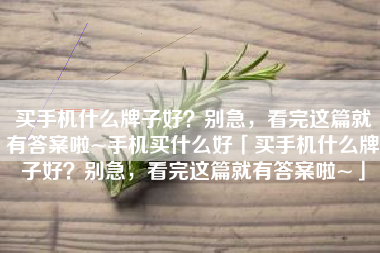 买手机什么牌子好？别急，看完这篇就有答案啦~手机买什么好「买手机什么牌子好？别急，看完这篇就有答案啦~」